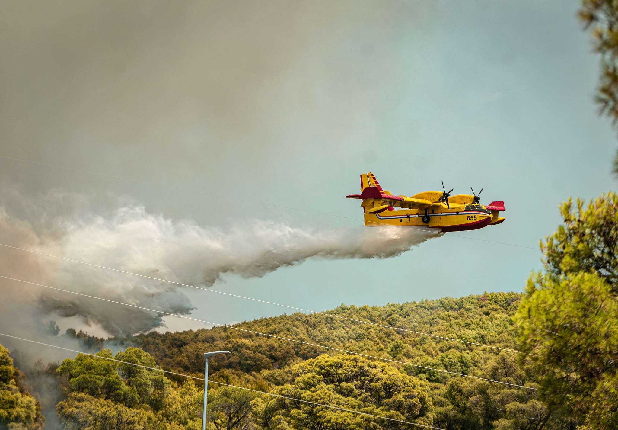 FOTO: Mate Gojanović/ŠibenikIN