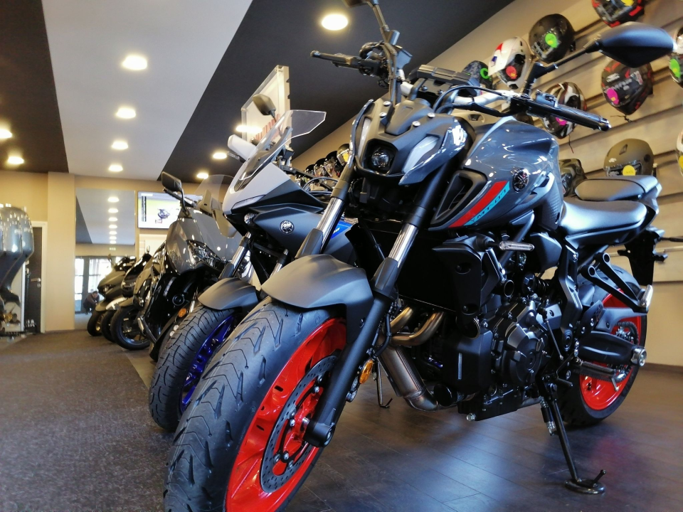 Izaberite nešto baš za sebe iz šarenila cvatnica u Vrtnom centru Dubrava!  