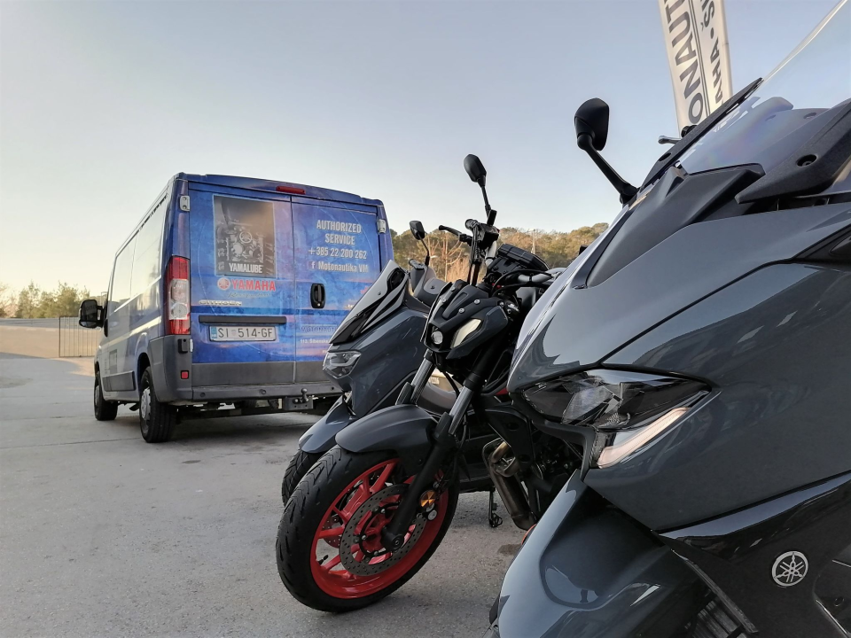 Izaberite nešto baš za sebe iz šarenila cvatnica u Vrtnom centru Dubrava!  