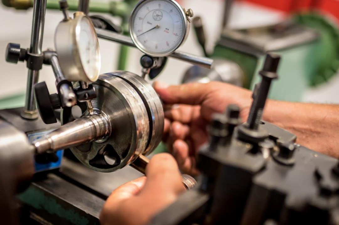 Izaberite nešto baš za sebe iz šarenila cvatnica u Vrtnom centru Dubrava!  