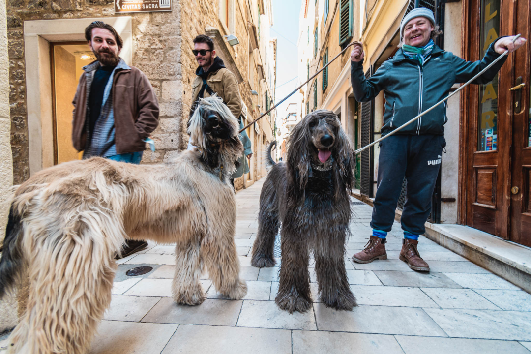 Kuni i Santos oličenje su elegancije i dramatičnosti, ali i jedna od najstarijih pasmina koja je lovila leoparde