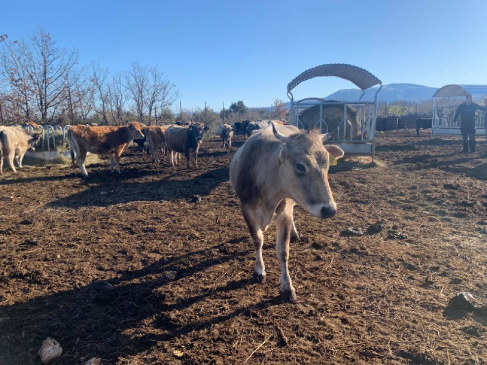 Pauk posjetio uspješne poljoprivrednike drniškog kraja: 'Od mljekarstva se nitko nije obogatio, pa neću ni ja'