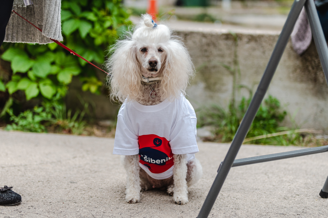 Restović: 'U drugi krug idemo Burić i ja, nadam se da neće izbjegavati sučeljavanje i razmjenu mišljenja'
