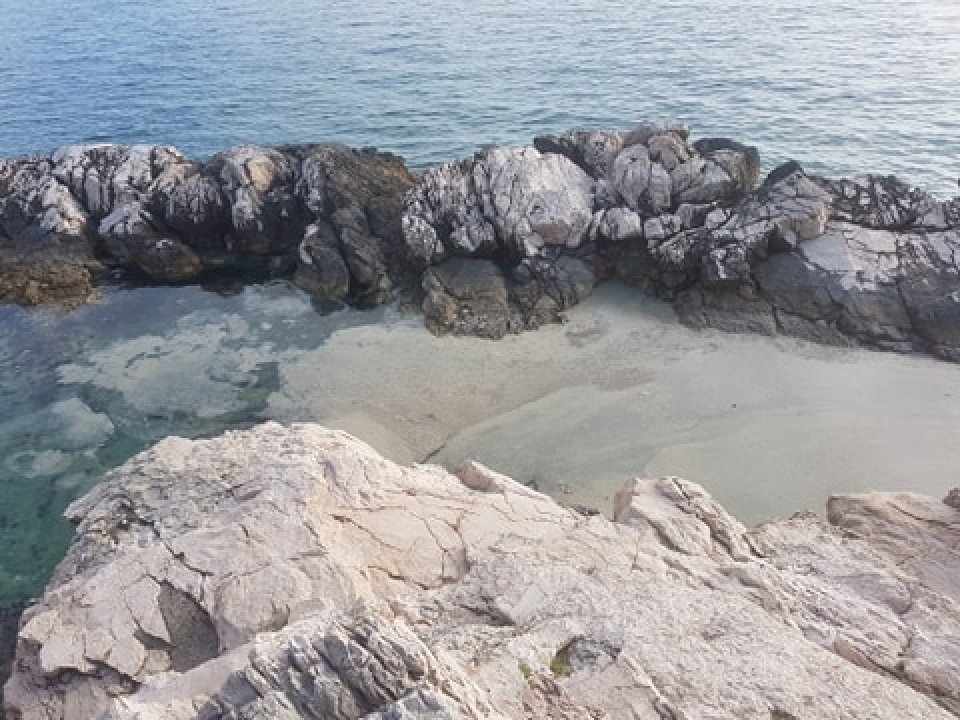 Nadležni nas uvjeravaju da su ovakvi prizori iz Primoštena rezultat cvjetanja mora 