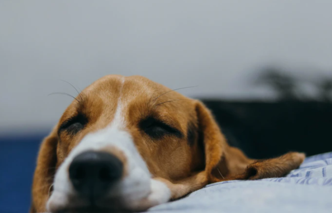 Do početka nove školske godine bivši Njegošev trg više neće biti slijepa ulica: Regulirat će se i parkirna mjesta  