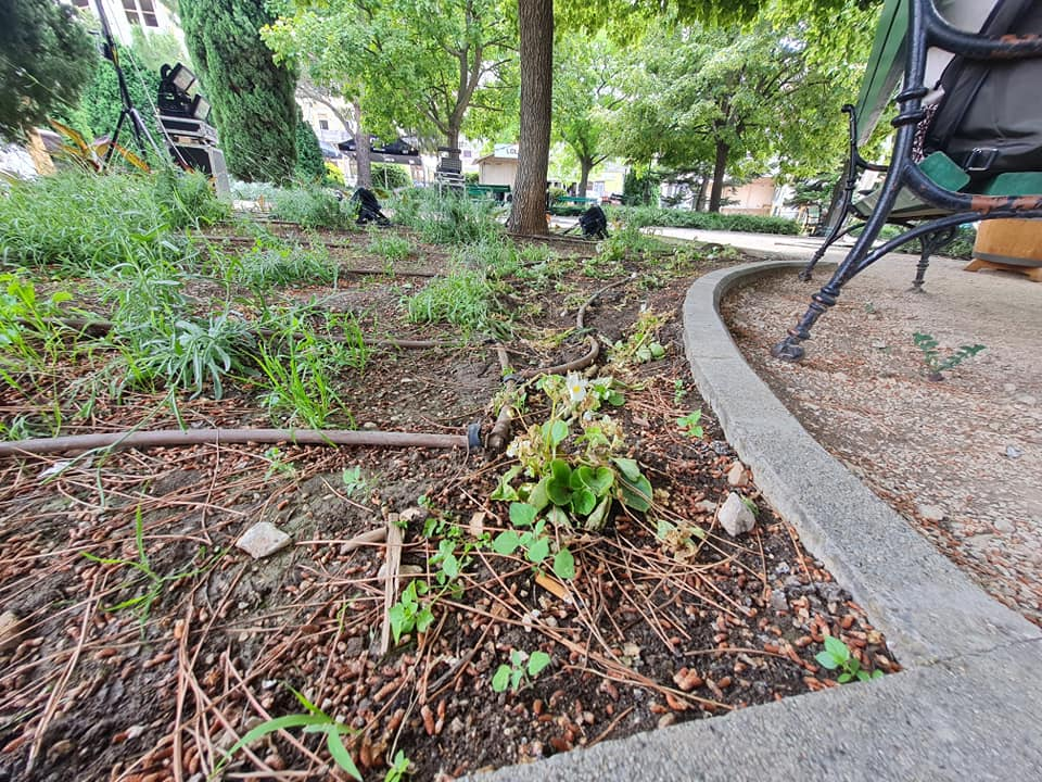 Pripazite na cvijeće: Nakon samo jedne večeri zabave u đardinu,  nedavno posađene biljke već su izgažene 