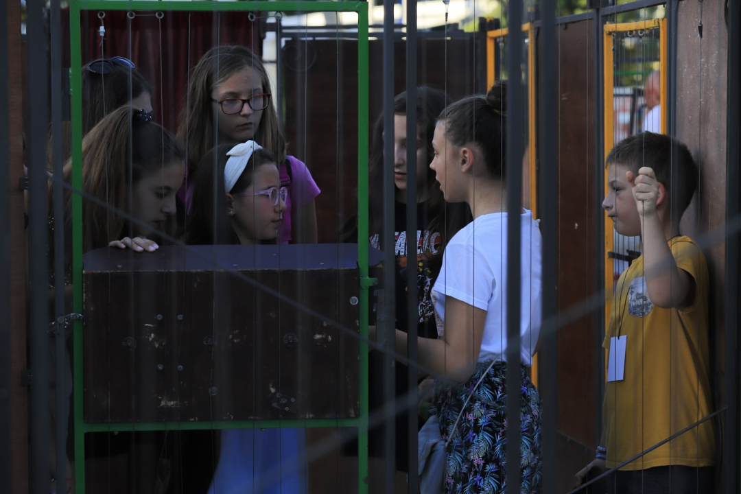 Jeste li pokušali proći kroz labirint na Poljani?