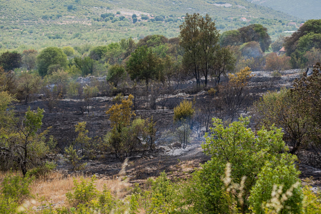 Nakon cijelog dana lokalizirani požari kod Perkovića: Gorjelo na 107 hektara terena