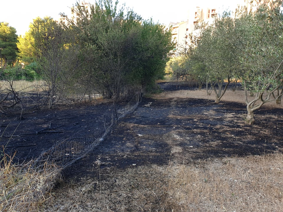 Ugašen je požar koji je buknuo kod Rasadnika na Vidicima: Na intervenciju izašle tri vatrogasne ekipe 