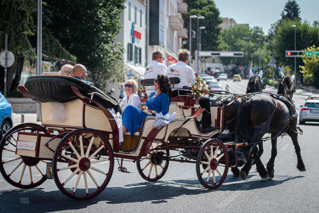 Vjenčanje na belgijski način: Dvije frizijske kobile kaskale centrom grada i rivom  