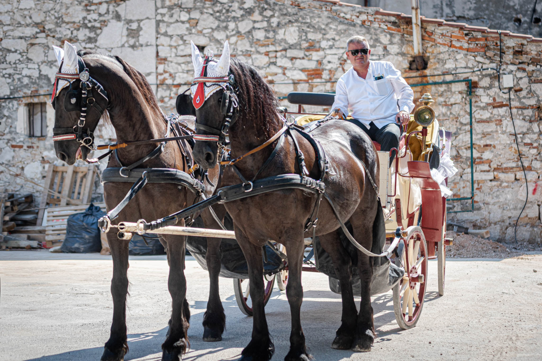 Vjenčanje na belgijski način: Dvije frizijske kobile kaskale centrom grada i rivom  