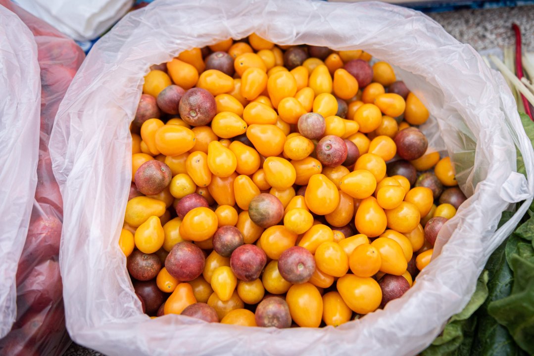 Na pijaci smo pronašli prve žižule, a na peškariji solidnu ponudu ribe: 'Što turisti znaju što je divlji, a što uzgojen brancin' 