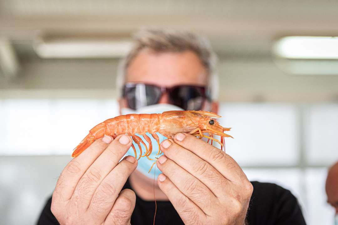 Na pijaci smo pronašli prve žižule, a na peškariji solidnu ponudu ribe: 'Što turisti znaju što je divlji, a što uzgojen brancin' 