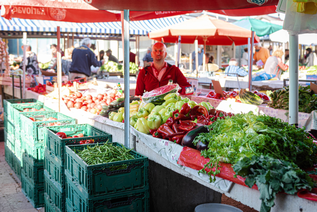 Od ogromnih kokota i mola sa šibenske peškarije dalo bi se skuhati juhu za omanji bataljun  