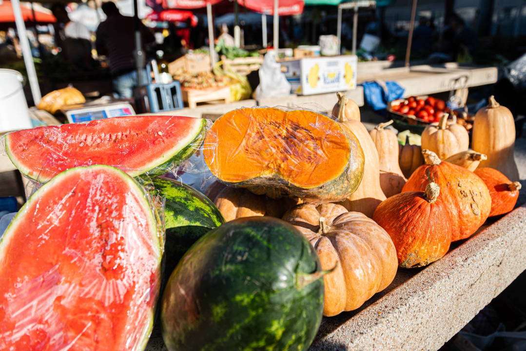 Od ogromnih kokota i mola sa šibenske peškarije dalo bi se skuhati juhu za omanji bataljun  