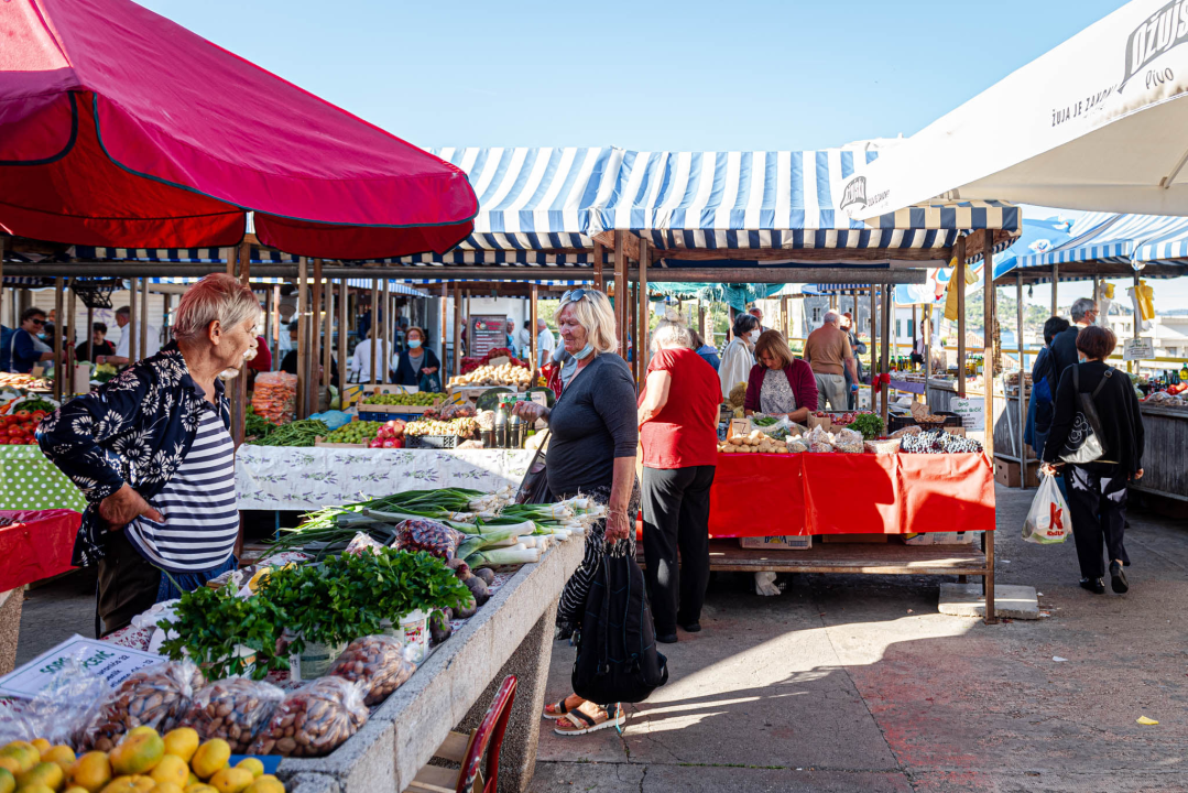 Od ogromnih kokota i mola sa šibenske peškarije dalo bi se skuhati juhu za omanji bataljun  