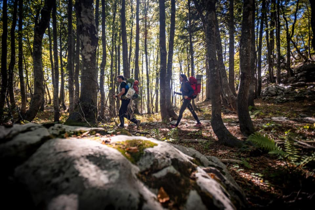 Pogledajte spektakularne fotografije 'Highlander Velebit': Čak 600 ljubitelja prirode u istraživanju veličanstvene planine