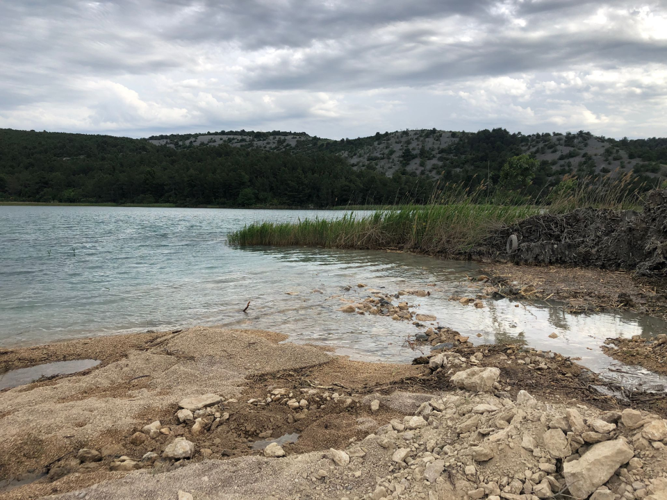 Udruga Titius Lozovac upozorava na povećan pomor ribe u Krki: 'Sve se preklapa s izvođenjem radova na plaži u Skradinu' 