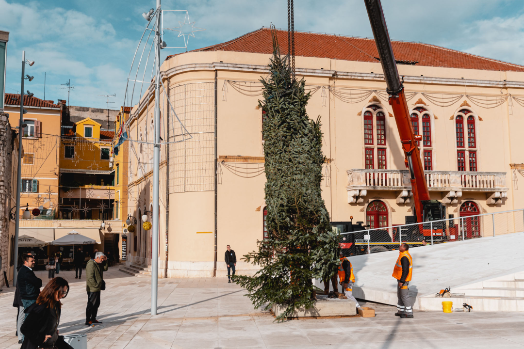 Okončan šibenski raketni program: Šibenik dobio pravi 7,5 metara visok božićni bor 