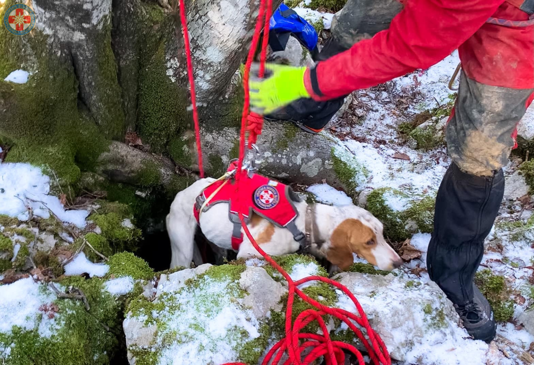 Sretan kraj! Hrvatski GSS-ovci spasili promrzlog i izgladnjelog psića iz jame duboke osam metara