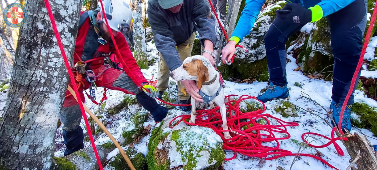 Sretan kraj! Hrvatski GSS-ovci spasili promrzlog i izgladnjelog psića iz jame duboke osam metara