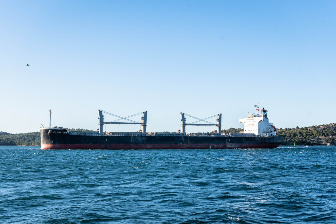 Najveći brod koji je ikad prošao kroz šibenski kanal: Ovaj div prevozi aluminij, pogledajte kako je izgledalo uplovljavanje u grad