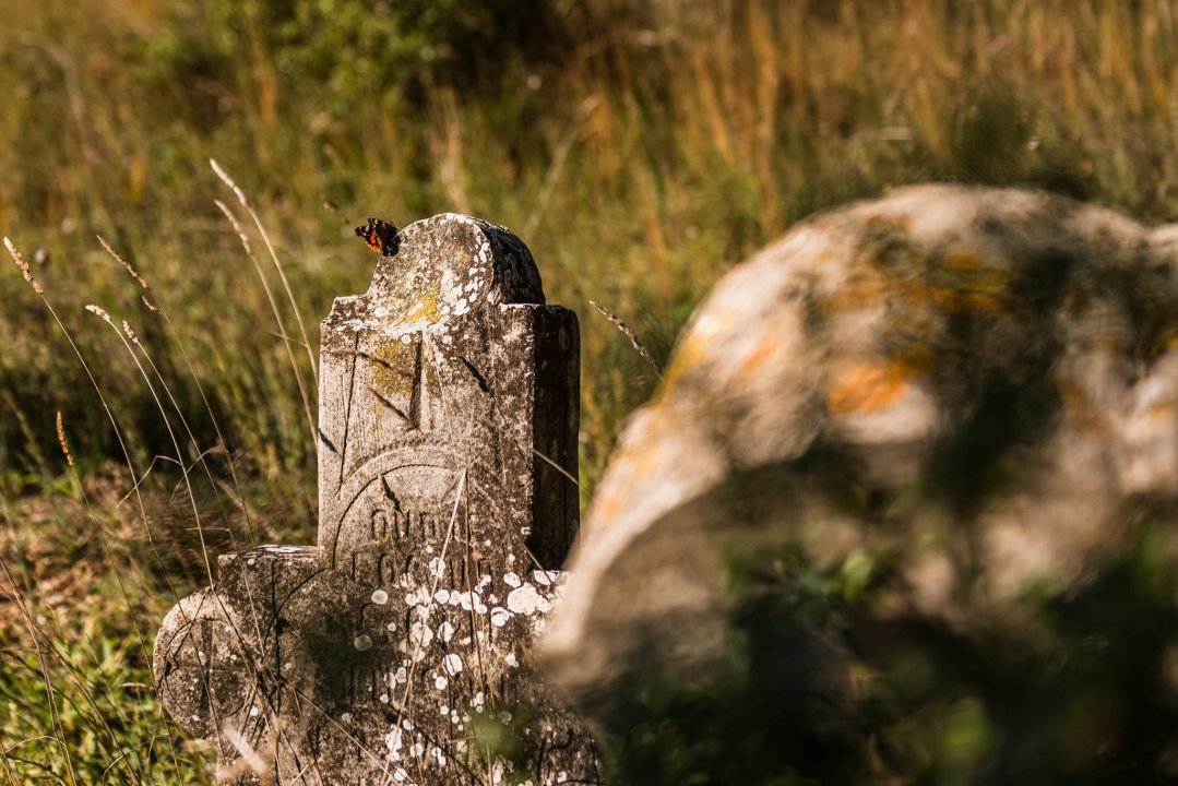 'To groblje je poput Pandorine kutije, bila je i njemačka krim policija': Na Raskrižju su posljednje počivalište našli i partizani i fašisti