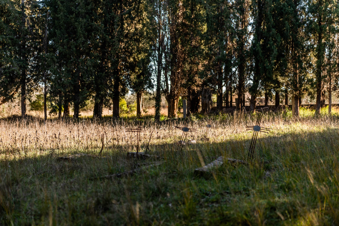 'To groblje je poput Pandorine kutije, bila je i njemačka krim policija': Na Raskrižju su posljednje počivalište našli i partizani i fašisti