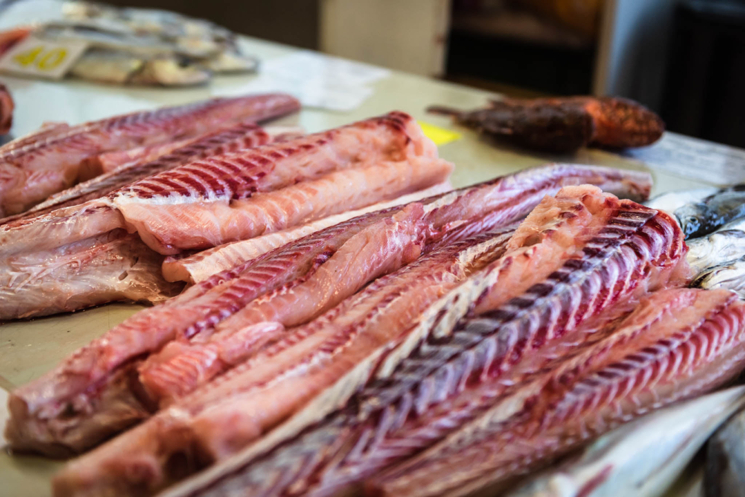 Fotogenična ponuda na šibenskoj peškariji: Grmalj, kokoti i nekoliko kolateralnih žrtava