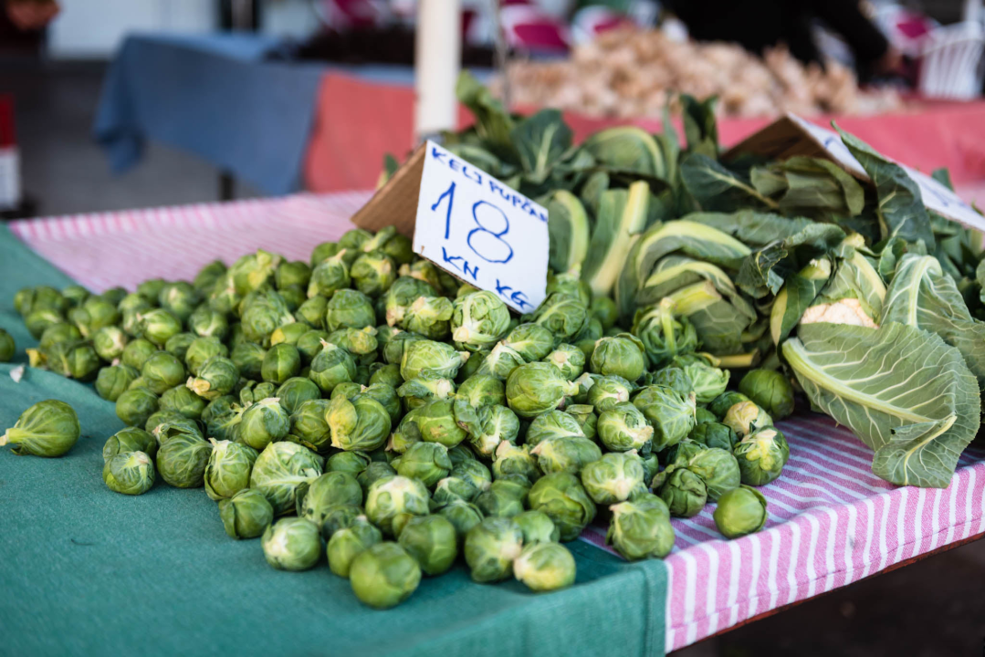 Fotogenična ponuda na šibenskoj peškariji: Grmalj, kokoti i nekoliko kolateralnih žrtava