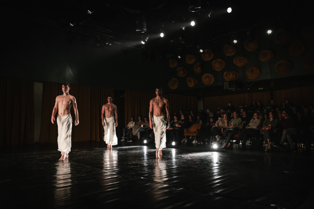 'Boys Boys Boys' sinoć u Arsenu: Šibenčanke uživale u ekspresivnom muškom plesu 