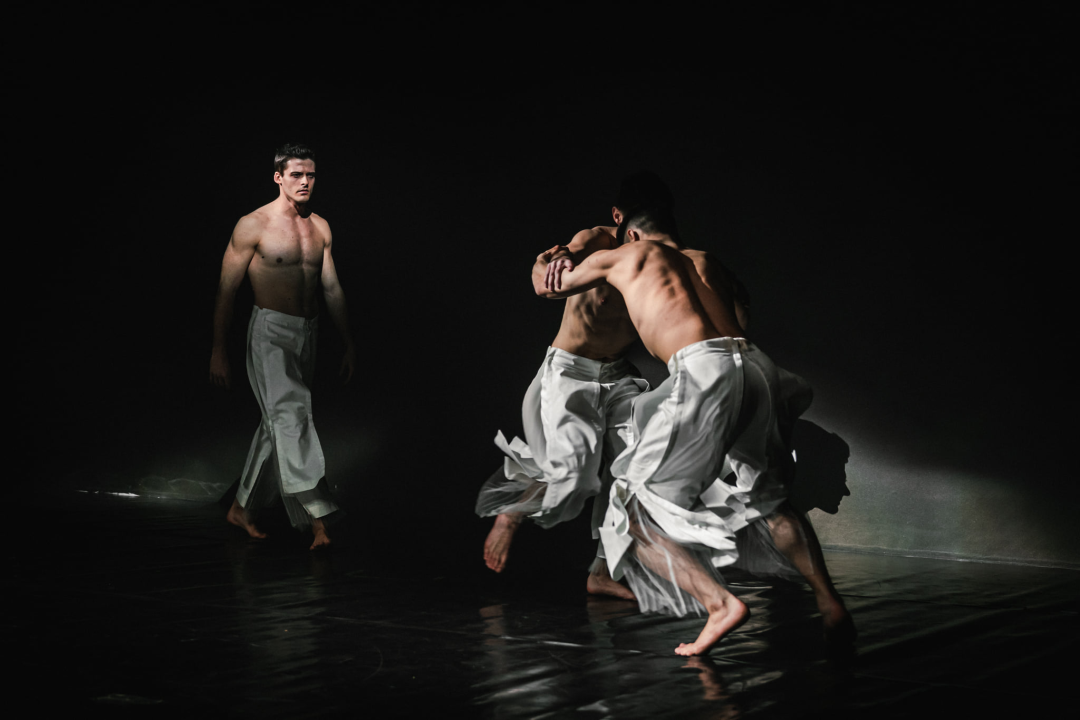 'Boys Boys Boys' sinoć u Arsenu: Šibenčanke uživale u ekspresivnom muškom plesu 