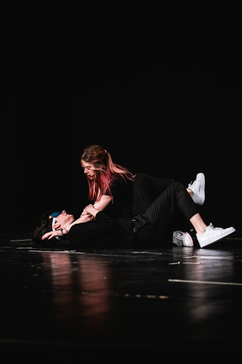 Još večeras u kazalištu pogledajte 'Moju priču' i pomozite Luki Škariću prikupiti novac za operaciju 