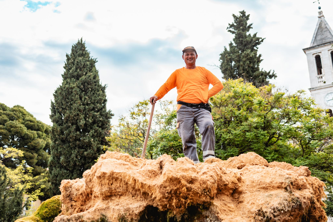 Uklonjen dio sedre kojemu je prijetilo urušavanje: Opet će zazeleniti, a kornjače dobivaju sunčalište