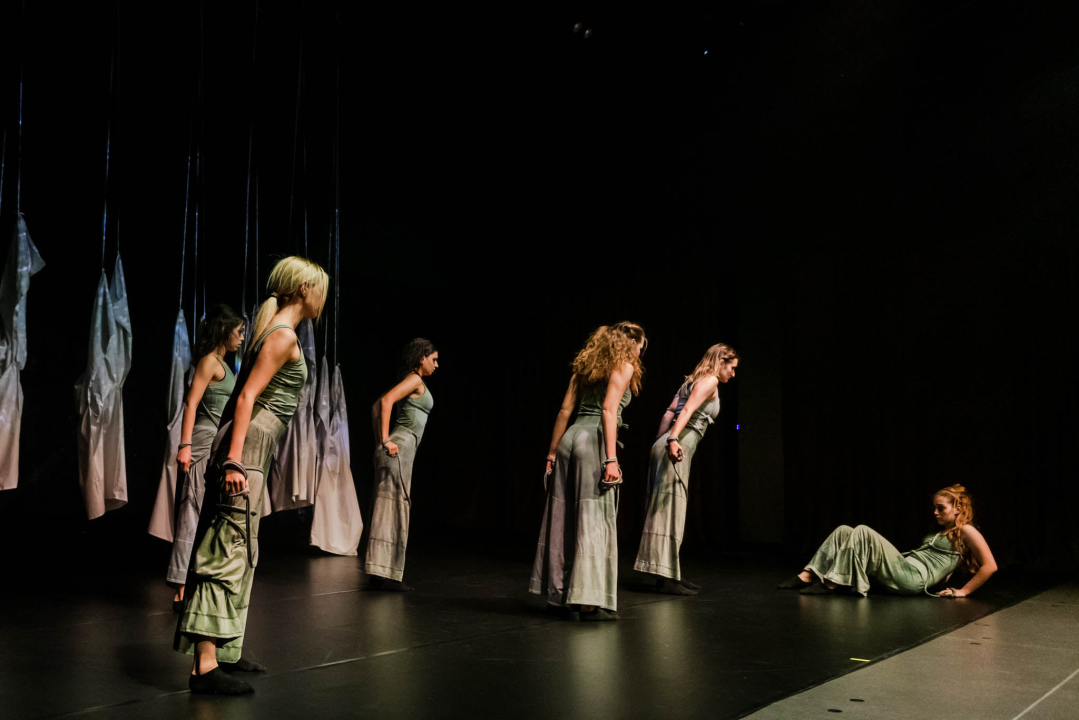 ‘Sjene‘ ponovo izvele predstavu 'Madness' prema knjizi Šibenčanina Dina Seksa  