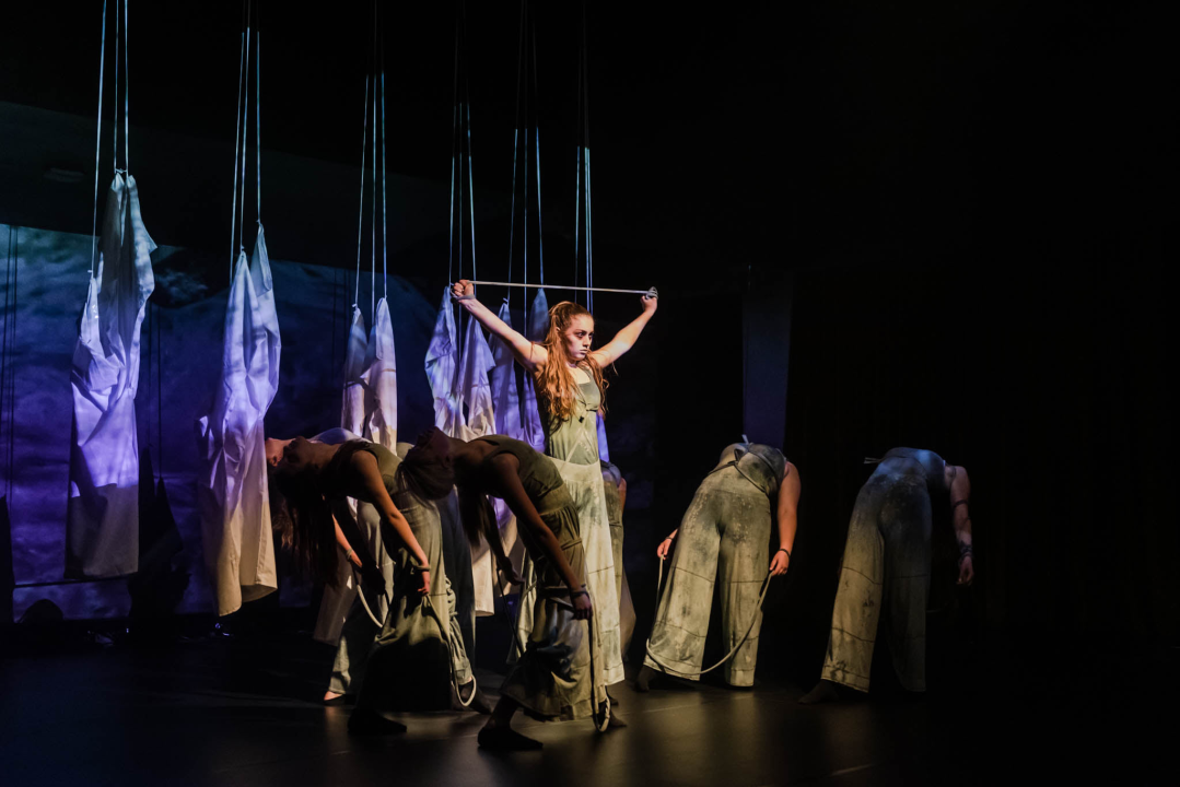 ‘Sjene‘ ponovo izvele predstavu 'Madness' prema knjizi Šibenčanina Dina Seksa  