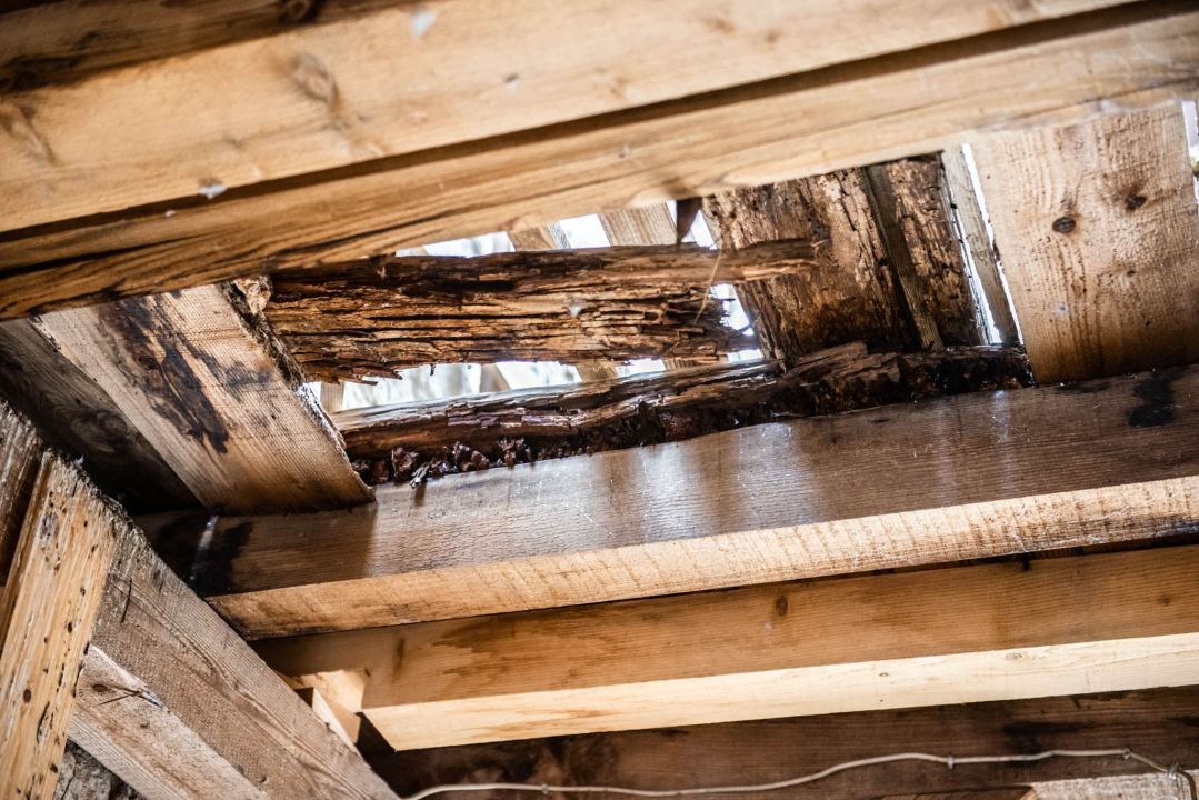 Skela u Ulici biskupa Fosca izgleda poprilično opasno: 'Vlasnik će je ubrzo sanirati, dobio je prijavu' 