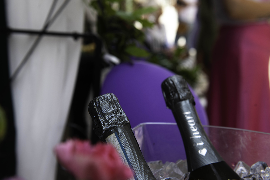 Šibenski cvjećar Luka Čular donio dašak kraljevskog dvora u centar grada