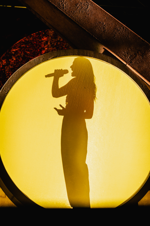 Lorde na tvrđavi sv. Mihovila: 'Htjela sam doći u Hrvatsku, ovdje svi izgledaju kao da su mi brat i sestra' 