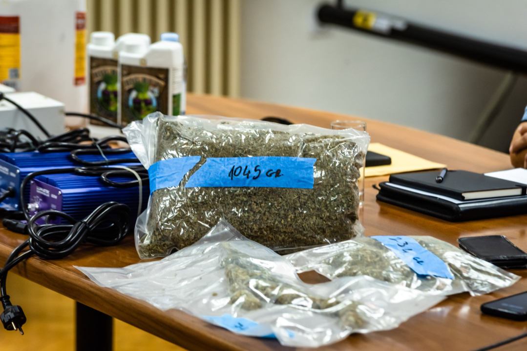 Pao vodički diler: U kući mu našli laboratorij, 500 kg stabljika kanabisa i 16 kg zapakirane marihuane 