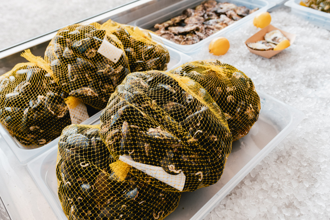 Posjetite novootvorenu kušaonicu školjaka i vina Oyster22! 