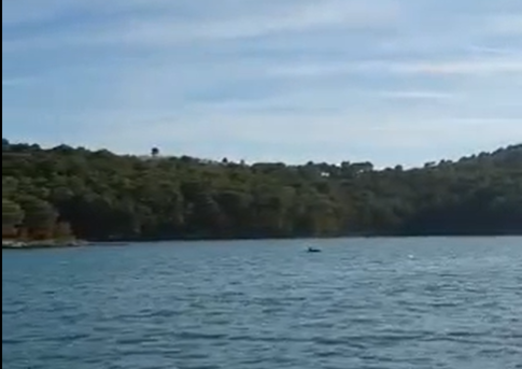 Nekad su mlikarice na magarcima iz Dubrave donosile mlijeko u grad: Stvari su se malo promijenile 