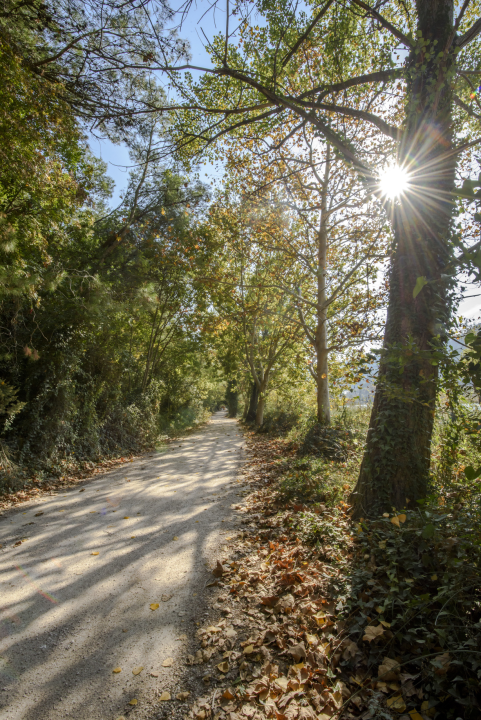 Povoljnije ulaznice i vođenja: NP Krka i ove godine dio Europskog tjedna mobilnosti