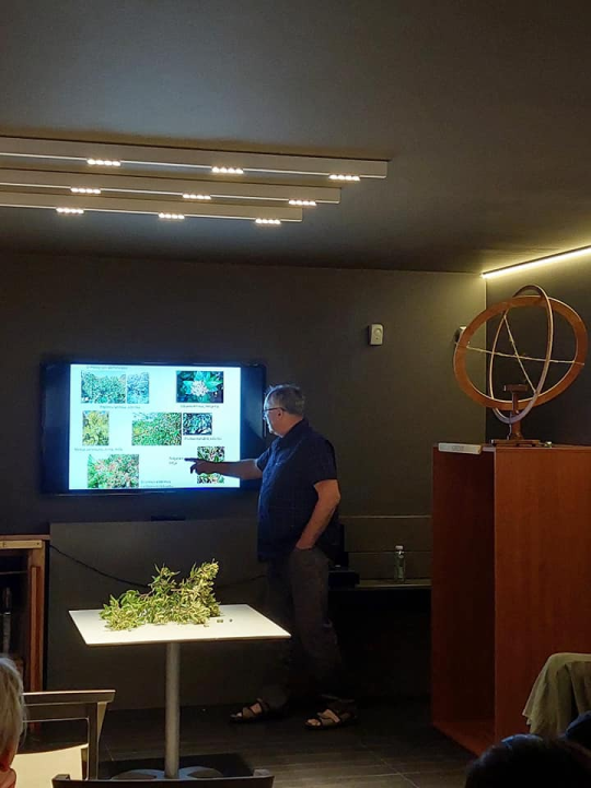 Ovaj vikend na Prviću se plesalo na svili dok su nebom letjeli zmajevi