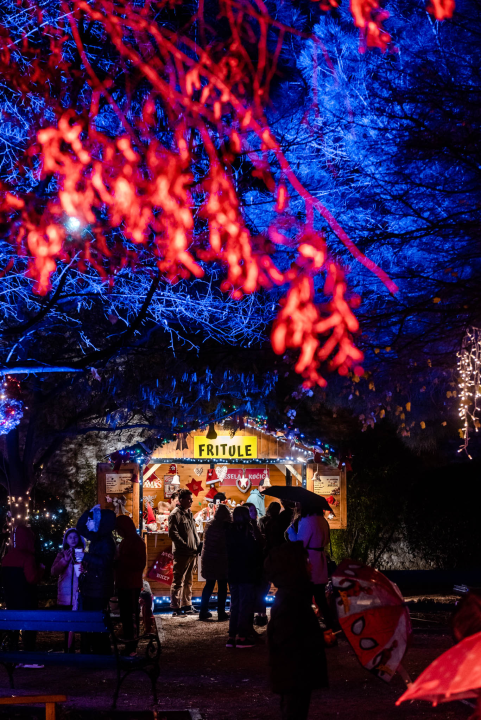 Počela je Adventura u đardinu: Pljuštalo je, ali uz Madre Badessu lakše se izdrži