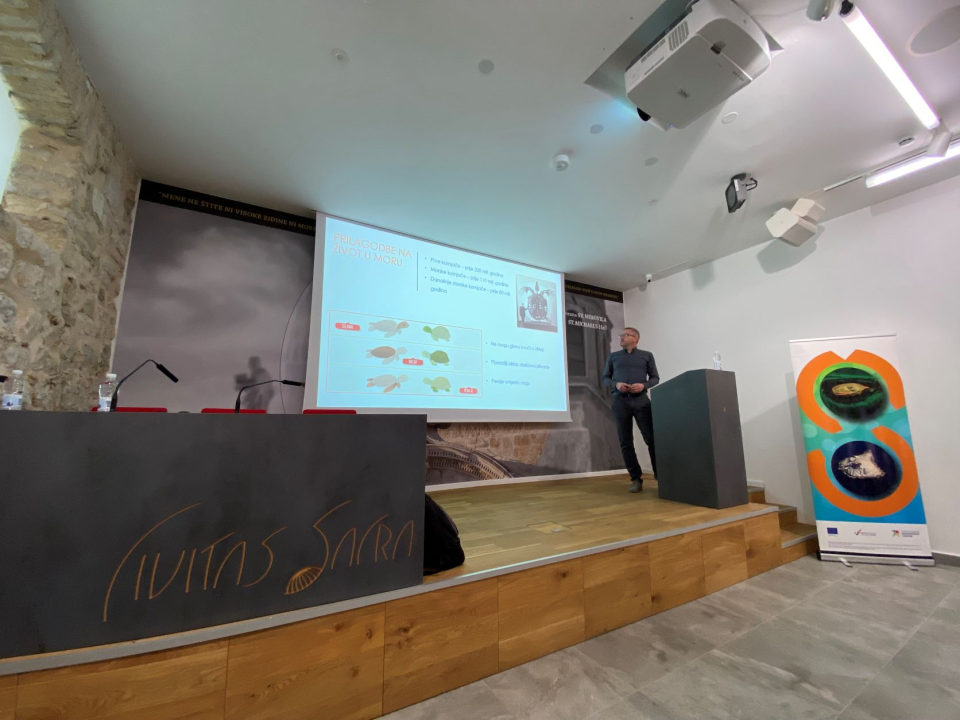 Održano predavanje o rezultatima istraživanja morskih kornjača u akvatoriju Šibensko-kninske županije