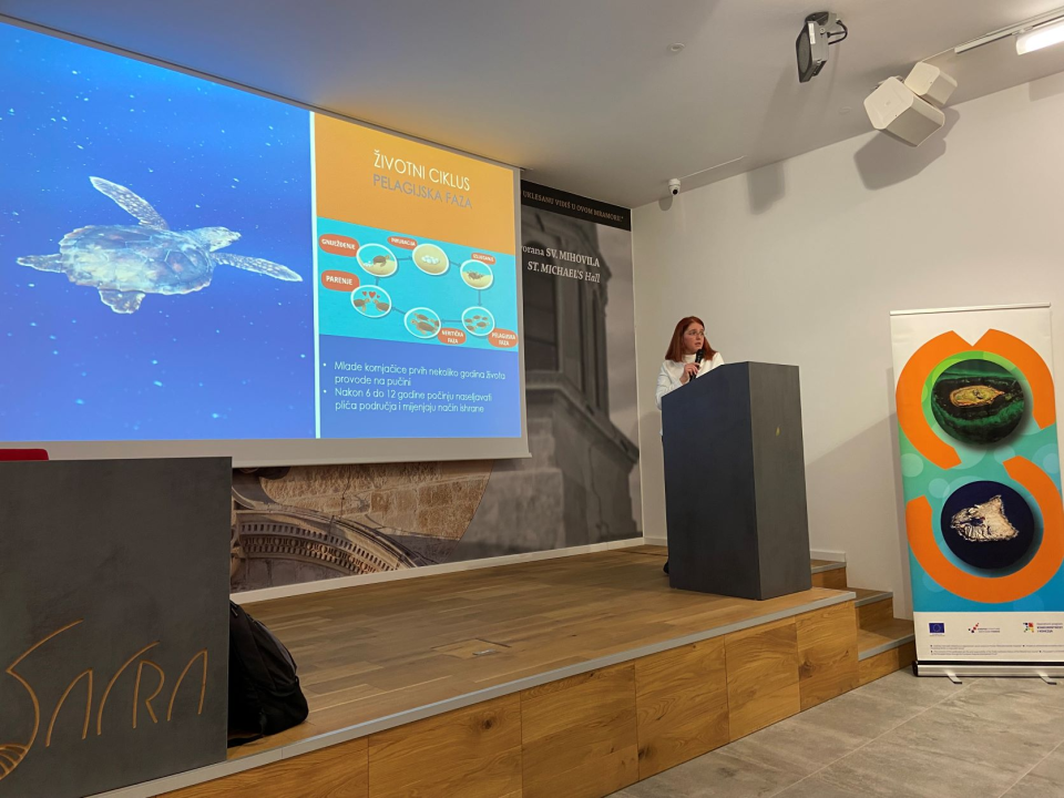 Održano predavanje o rezultatima istraživanja morskih kornjača u akvatoriju Šibensko-kninske županije