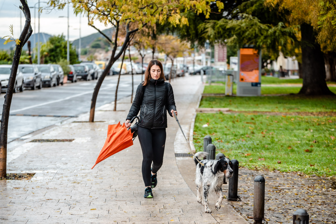 FOTO Đir po gradu, četvrtak 8. prosinca