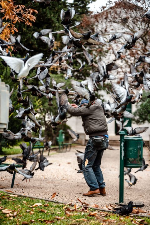 FOTO Đir po gradu, petak 9. prosinca