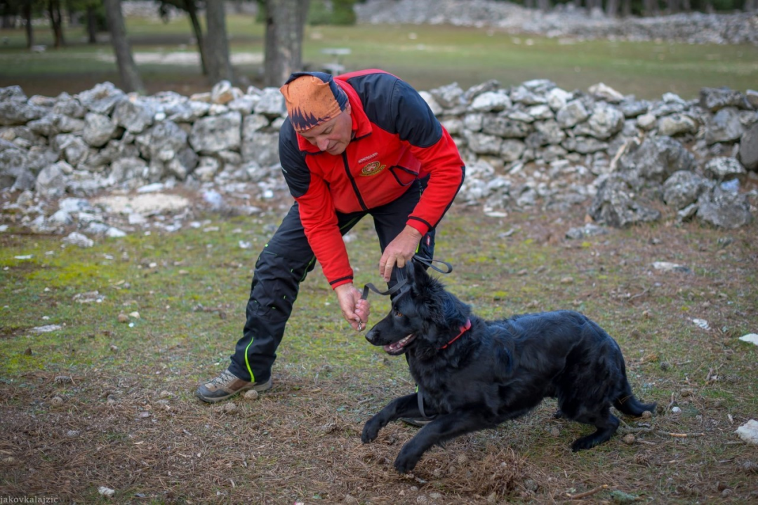 Psi su jako važni u potražnim akcijama, a ovako izgleda trening mladih pasa i štenaca